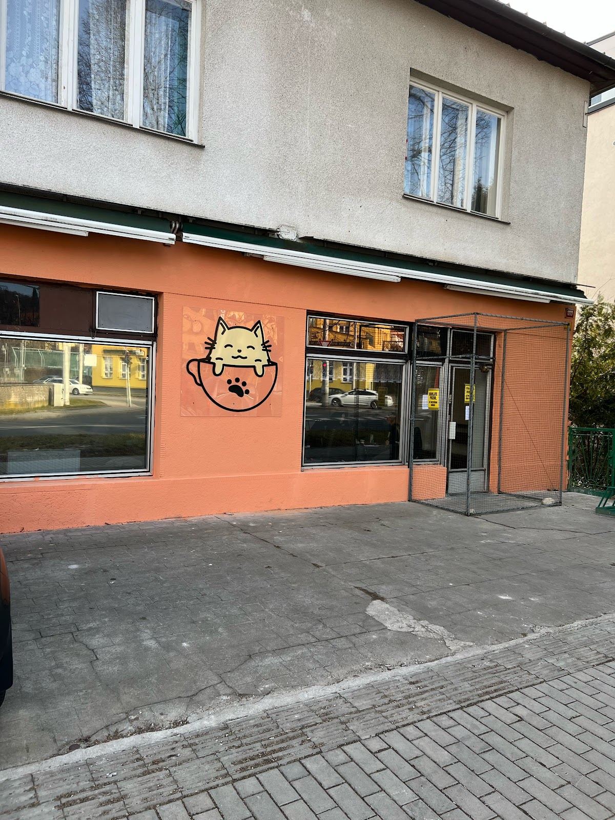 Kočičí Ráj - adopční kavárna — fotka 2